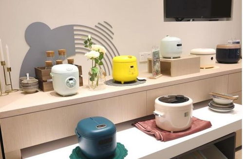 失去了年輕人的寵愛，小家電行業該如何破局？